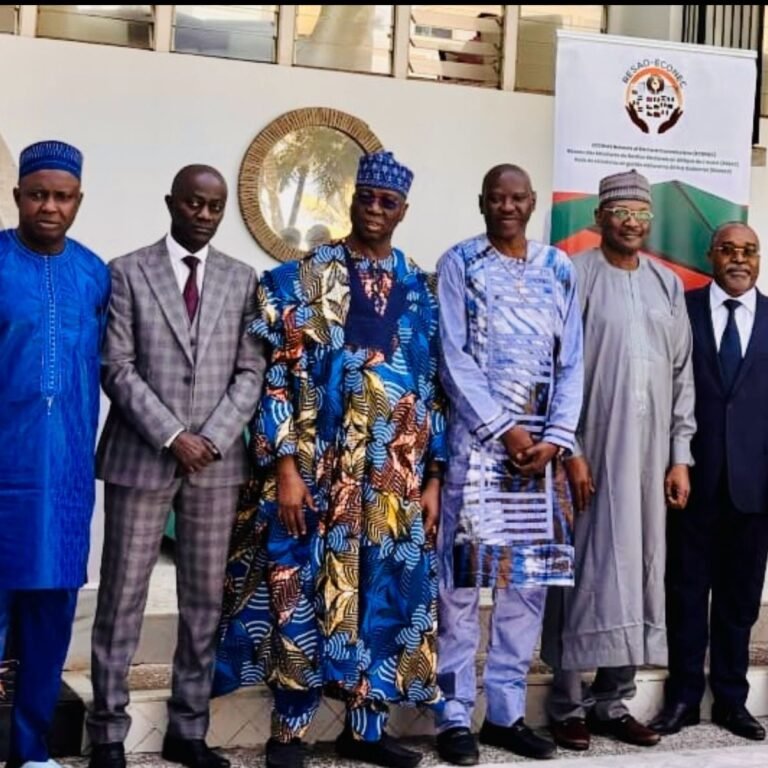 inec-chair-in-gambia-econec