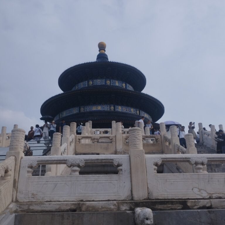 WhatsApp Image 2025-07-28 at 20.10.51_ad0a84ee