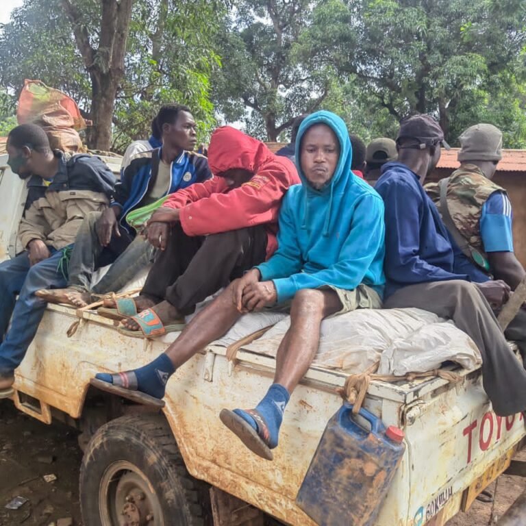 WhatsApp Image 2025-07-29 at 22.11.00_bb95c4a9