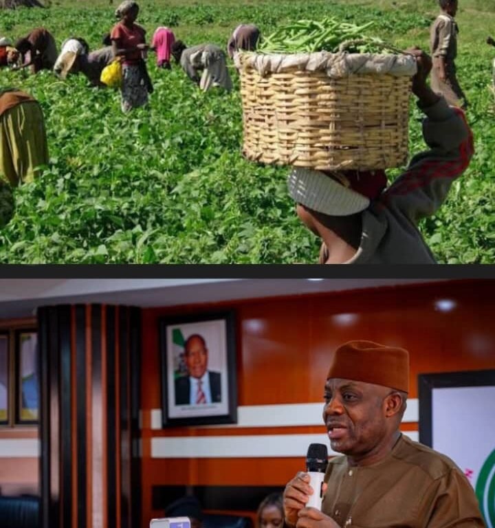 WhatsApp Image 2025-10-06 at 08.49.41_c93bdead