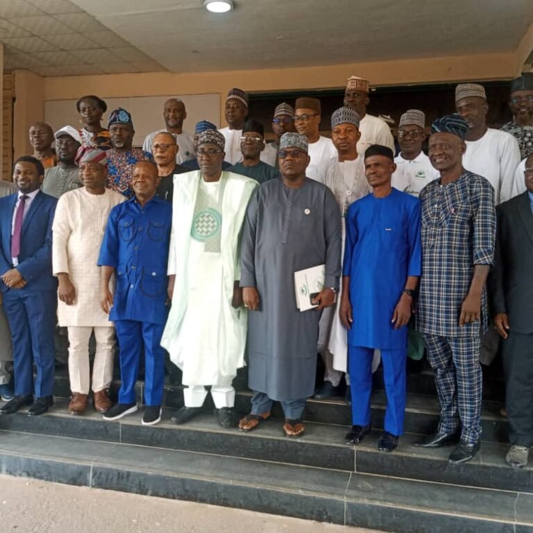 WhatsApp Image 2025-10-09 at 21.04.40_1c1abed8