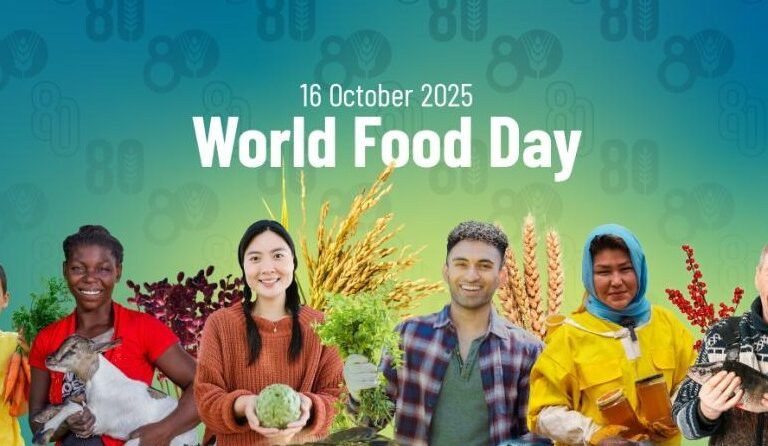 WhatsApp Image 2025-10-17 at 07.24.47_1de9be54