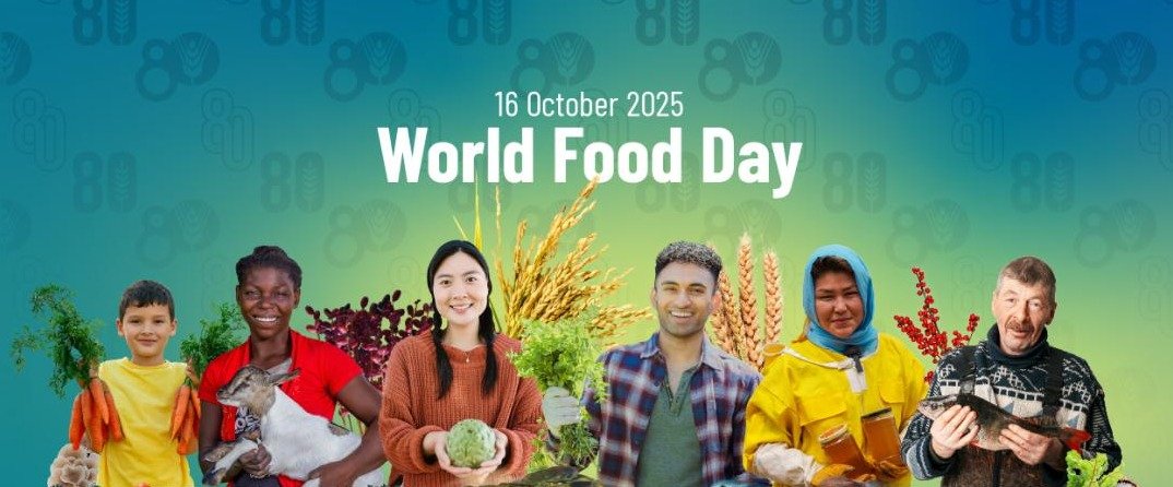 WhatsApp Image 2025-10-17 at 07.24.47_1de9be54