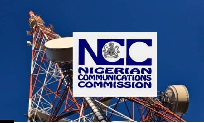 WhatsApp Image 2025-11-11 at 10.38.16_7aac0e77