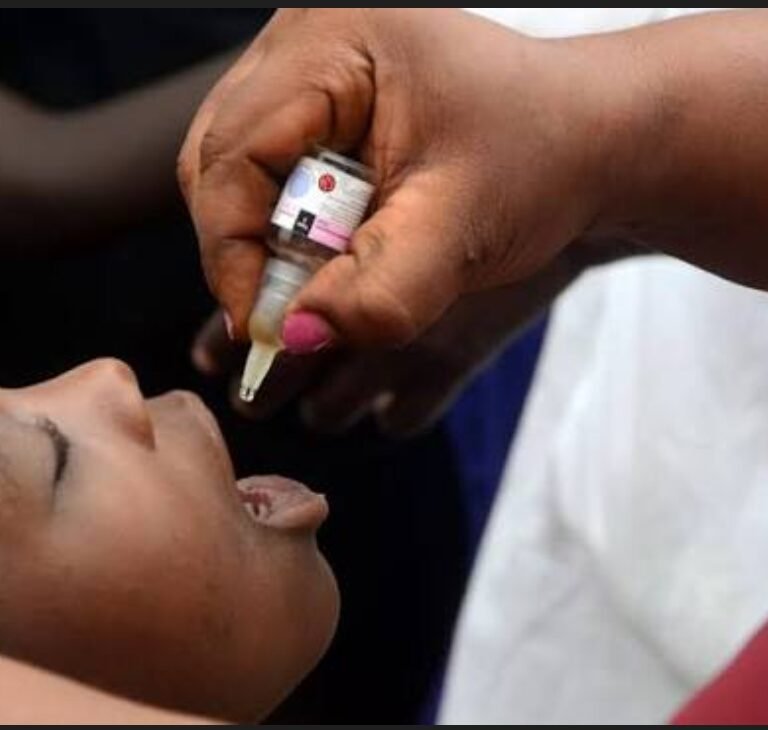 Screenshot_20260129-193724