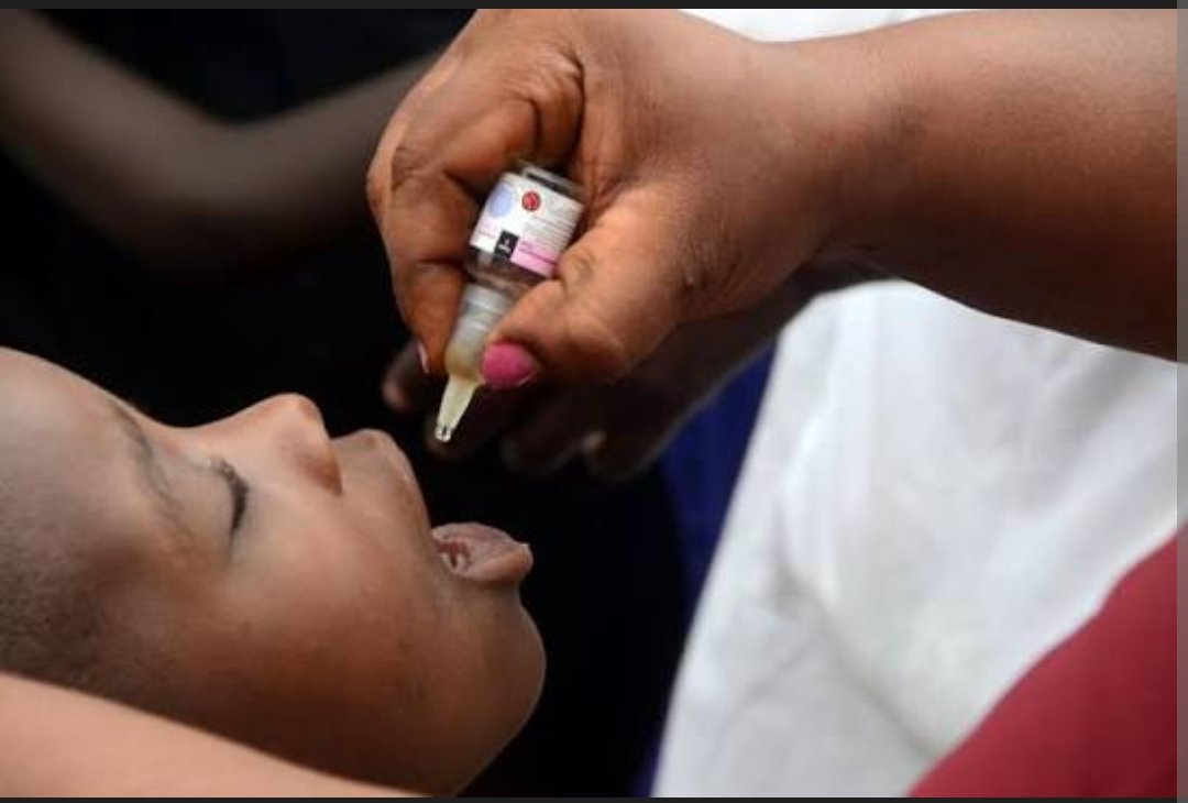 Screenshot_20260129-193724