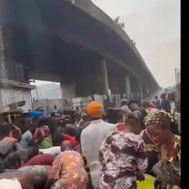 WhatsApp Image 2026-01-19 at 9.42.28 PM