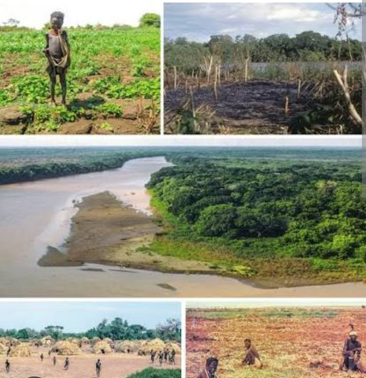 WhatsApp Image 2026-01-20 at 12.18.17 PM