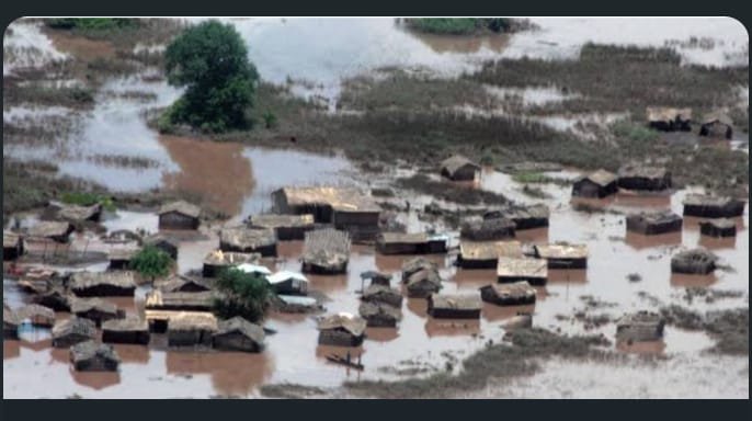 WhatsApp Image 2026-01-20 at 9.20.24 AM