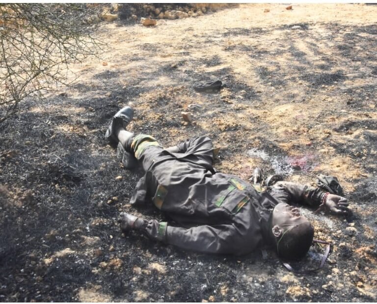 Screenshot_20260202-163622