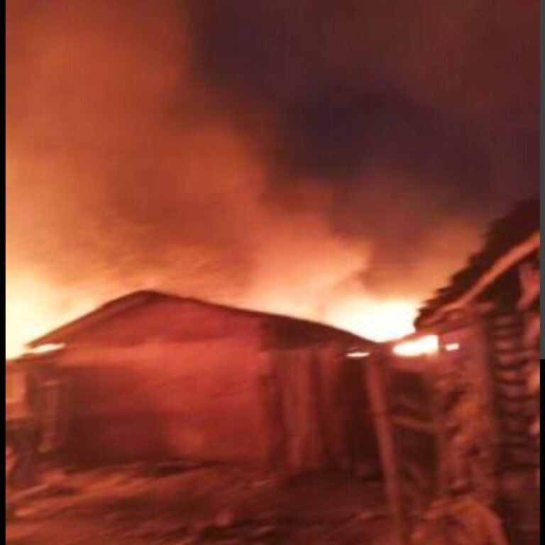 Screenshot_20260206-194114