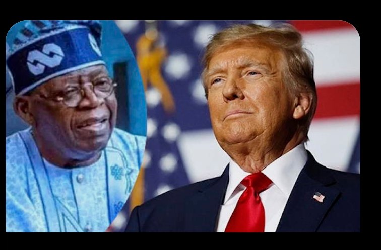 Screenshot_20260212-064134