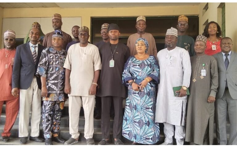 Screenshot_20260216-174950