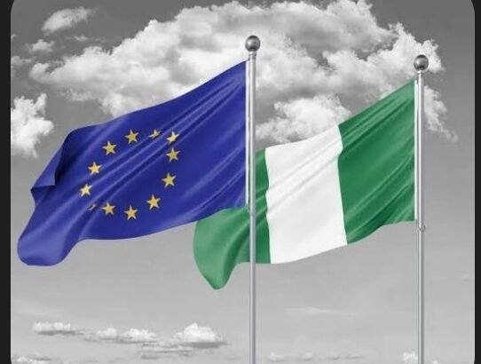 Screenshot_20260322-151928