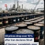 Screenshot_20260418-084732