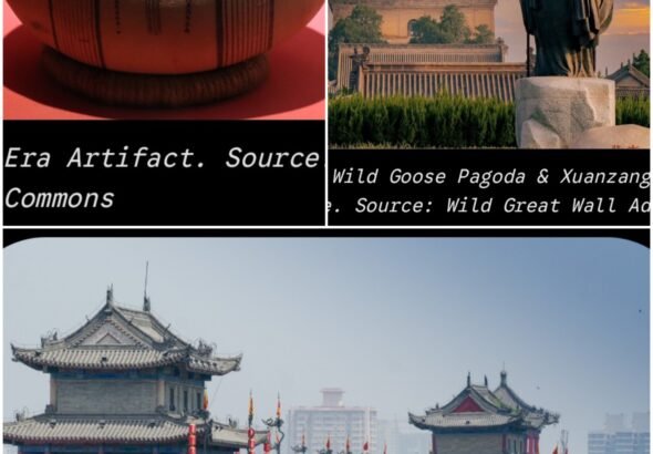 20260928_172614-COLLAGE