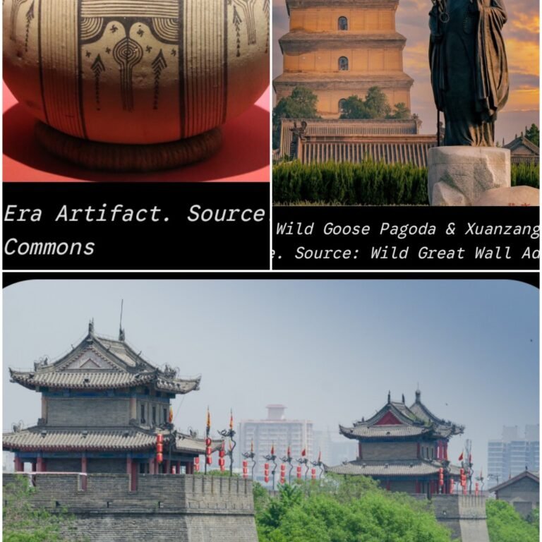 20260928_172614-COLLAGE