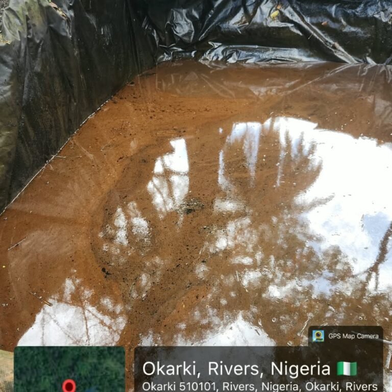 Screenshot_20261013-063537